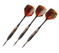 FUZVOL Lot de 3 flechette Pointe Acier fléchettes Professionnelles avec Pointe en Acier et tiges en Aluminium 24 g