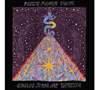 Fuzz's Fourth Dream Collects Singles Unreleased Demos And Rarities Vinyle