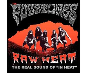 Fuzztones - Raw Heat