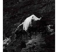 Fuzzy Lights - Burials [Import]