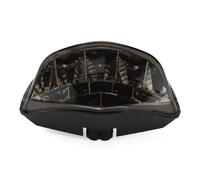 FVGOKMNA Indicateurs pour Moto Compatible avec Ducati pour Monster pour 795 2011 2012 2013 2014 2015 2016 pour 796 2010-2016 Accessoires De Moto Feu Arrière Clignotant(Smoky)