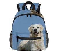 FVQL Sac à dos pour enfant, sac à dos de voyage pour enfant, chien golden retriever animal et herbe, Multicolore 3821, 25.4x10x30cm/10x4x12in