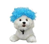 FWJUNHUYC Perruques pour animaux de compagnie, perruques pour chien, accessoires pour animaux de compagnie, cheveux bouclés, cheveux raides