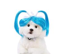 FWJUNHUYC Perruques pour animaux de compagnie, perruques pour chiens, accessoires pour animaux de compagnie, cheveux bouclés, cheveux raides, perruques pour chat