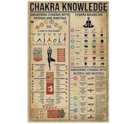 FWJZDSP Affiche en métal Connaissance des Chakras Éveil des Chakras avec Mudras et Mantras Rétro Signe en étain École Yoga Café Chambre Salle de Bain Cuisine Maison Art Décoration Murale Plaque