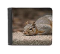 FWJZDSP Portefeuille Homme Squirrel Just Laying, Grande capacité, en Cuir, Fin, avec Porte-Cartes et fenêtre pour Carte d'identité, idéal au Quotidien.