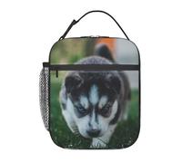 FWJZDSP Sac à déjeuner double isolation anti-fuite motif chiot husky, sac fourre-tout isotherme pour le travail, les pique-niques, les voyages et le camping