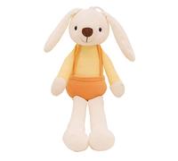 Fycakly 2023 Nouveaux Cadeaux de pâques pour Enfants à la Main personnalisé Mignon Lapin décorations de pâques Mignon Lapin Jouets en Peluche Peluche éCologique Bio (C, A)