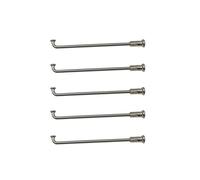 FYJL Lot de 38 rayons de vélo électrique fabriqués en acier inoxydable 12 G avec un diamètre de 2,6 mm (longueur 124 mm)