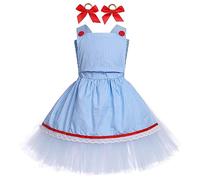 FYMNSI Déguisement Dorothy Enfant Costume De Cosplay du Magicien D'Oz pour Halloween Epouvantail Homme De Fer-Blanc Déguisement Journée Mondiale du Livre Robe De Soirée à Tutu Bleu 11-12 Ans