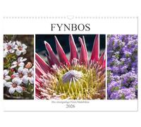 Fynbos - Die einzigartige Flora Südafrikas (Wandkalender 2026 DIN A3 quer), CALVENDO Monatskalender: Ein Einblick in die Pflanzenvielfalt des Kaps der guten Hoffnung