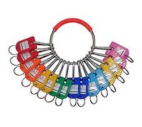 FYOBOT Organisateur de Clés à Anneau en Métal avec 16 Crochets à Ressort et Porte-Clés avec Anneau et Fenêtre D'Étiquette