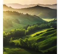 FYRHLH Papier Peint Panoramique 3D Grüner Wald 3D Papier Peint Murales 3D pour Salon Chambre Restaurant Enfant Murale Moderne Décoration Mural 400cm×280cm(LxH)