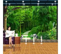 FYRHLH Papier Peint Panoramique 3D Waldweg 3D Papier Peint Murales 3D pour Salon Chambre Restaurant Enfant Murale Moderne Décoration Mural 430cm×300cm(LxH)