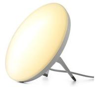 Fysic FW450 - Lampe de jour avec un éclairage d’ambiance Gris,Blanc G