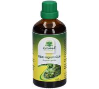 Fytobell Ribes Nigrum GLM Solution(S) 100 ml