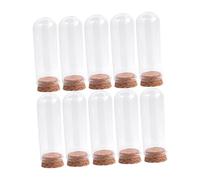 FytStycale 10 Unités de Dômes en Verre avec Base de Liège pour Afficher Les Plantes et Les Fleurs, 30mmx80mm