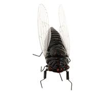 FytStycale Aimants pour Réfrigérateur, Module Insecte, Cigale