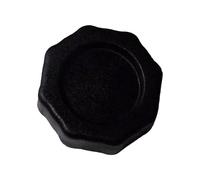 FytStycale Bouchon de Purgeur d'air Spa, Accessoire pour P00922 et P6611