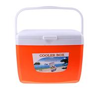 FytStycale Bouteille Isotherme 5L/13L avec Poignée pour Boissons/Aliments/médicaments, Maintien Au Chaud/au Frais et Rafraîchissant, Orange, 13L