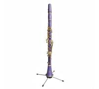 FytStycale Clarinette Bleue Instrument Bb Élève 17 Touches Son Profond Facile à Jouer Adaptée pour Jeune Musicien Programme Scolaire Scénique, Violet