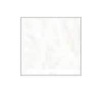FytStycale Écran de Simulateur de Golf Épais Toile Projection Golf Double Couche Équipement Sportif pour Entraînement, 300cm X 300cm