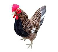 FytStycale Figurines d'animaux de La Ferme, Sculptures de Poussins, Statues de Poulets pour La Photographie de Jardin Ou de Bureau, Décoration, Je