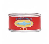 FytStycale holderPot en Boîte de Conserve Design Créatif Pot Décoratif Marin, Sardine