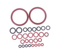 FytStycale Kit de 30 joints toriques, kit de réparation de joints toriques pour cafetière, d'entretien, joint de buse pour groupe d'infusion de machine à