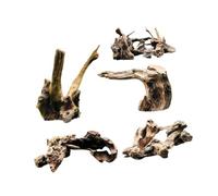 FytStycale Lot de 5 Morceaux de Bois Flotté pour Aquarium, Tunnels en Bois, Décorations pour Aquarium à Poissons et Lézards