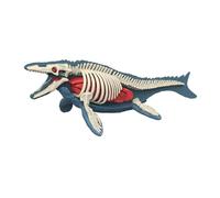 FytStycale Modèle Anatomique Animal Jouet Éducatif Puzzle Organes Démontables Matériel Pp Fonction Pédagogie Interactive pour Enfants Adapté Activités, 3106
