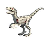 FytStycale Modèle Anatomique Animal Jouet Éducatif Puzzle Organes Démontables Matériel Pp Fonction Pédagogie Interactive pour Enfants Adapté Activités, 3105