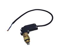 FytStycale Pièces de Rechange Durables pour Lave-Autos, Micro-Interrupteur, Accessoire de Bricolage pour Eau Haute Pression.