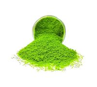 FytStycale Poudre de Gazon Artificiel pour Micro-, Maquettes de Chemins de Fer, Rues et Bâtiments, couleur vert clair