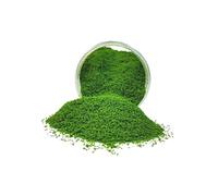 FytStycale Poudre de Gazon Artificiel pour Micro-, Maquettes de Chemins de Fer, Rues et Bâtiments, vert foncé