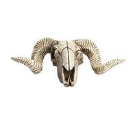 FytStycale Tête Animale Sculpture Trophée Mural Crâne Résine Motif Mouton Suspendu Peint Main Finition Convient à La Décoration de Chambre D'Amis Bur, Tête de