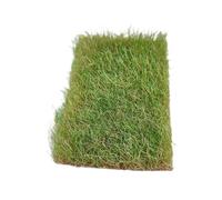 FytStycale Touffe D'herbe Miniature, Modèle de Décor Polyvalent Déchiré à La Main pour La Construction de Chemins de Fer Miniatures sur Sable, Vert D'automne