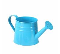 Fzaqwen Mini Arrosoir en Métal, Pot de Fleurs, Rustique, Décoratif, Polyvalent, 24,4 X 11,4 Cm, pour La Décoration de Mariage et de Fête, Bleu