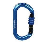 Fzaqwen Mousqueton d'escalade Crochet D-Forme avec Fermeture de Sécurité en Alliage D'Aluminium Résistant Idéal pour Escalade Clés Camping Maison Plein Air, Bleu