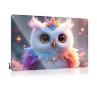 FZFN Décoration murale cool pour entrée - Une chouette majestueuse et colorée ornée d'une couronne et d'un collier - Jolie décoration de style hippie rétro pour traverser (30 x 40 cm)