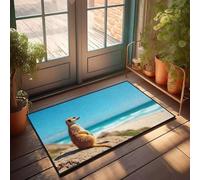 FZFN Petit tapis de salle de bain d'extérieur - Un suricate alerte sur un affleurement rocheux surplombant une belle plage absorbant l'eau profil bas absorbant la porte intérieure gratuite (40 x 60 cm