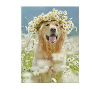 FZGGWYHL Couverture en flanelle avec imprimé chien Golden Retriever
