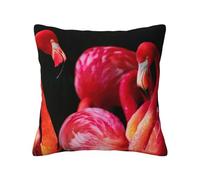 FZGGWYHL Flamants roses sur fond noir imprimé taie d'oreiller décorative