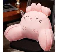 FZKun Coussin de lecture lombaire Kawaii doux avec housse lavable, coussin de repos avec accoudoirs pour s'asseoir dans le lit, le canapé, se détendre, regarder la télévision, les jeux vidéo, la