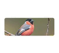 FZQVSGW Boîte de papeterie avec design détachable créatif minimaliste boîte de rangement Père Noël ABS durable trousse à crayons 180° posée à plat et fermeture à pression sécurisée pour fournitures de