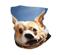 FZQVSLCM Cache-cou - Masque de protection UV - Écharpe respirante et coupe-vent - Cagoule pour la course à pied - Cagoule d'été rafraîchissante - Bandana sans couture pour homme et femme