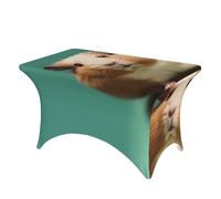 FZQVSLCM Nappe de table rectangulaire de 1,2 m pour tables rectangulaires, imperméable, infroissable, en élasthanne, nappe de table mignonne et étrange, nappe extensible très résistante pour fête