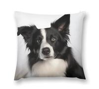 FZQVSWTX Housses de coussin carrées en peluche 40,6 x 40,6 cm, motif border collie, décorations d'hiver pour salon, chambre à coucher, canapé, voiture