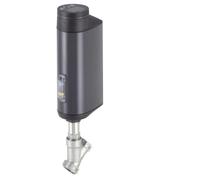G 2 inch Contrôleur de Processus Vannes À Siège Incliné Électrique Inox - 3360 - 20033111