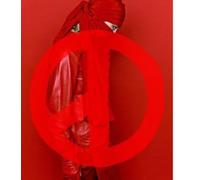 G-Dragon - Coup D'etat